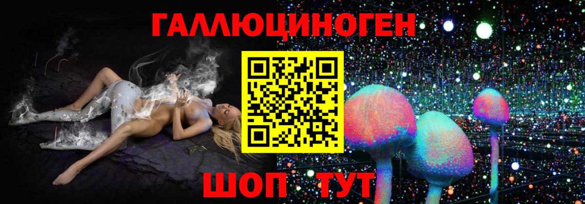 Галлюциногенные грибы GOLDEN TEACHER Губаха