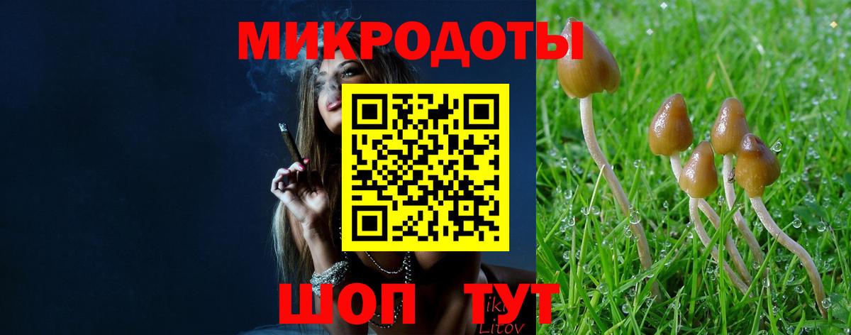 Псилоцибиновые грибы MAGIC MUSHROOMS  Вход с VPN  Губаха 