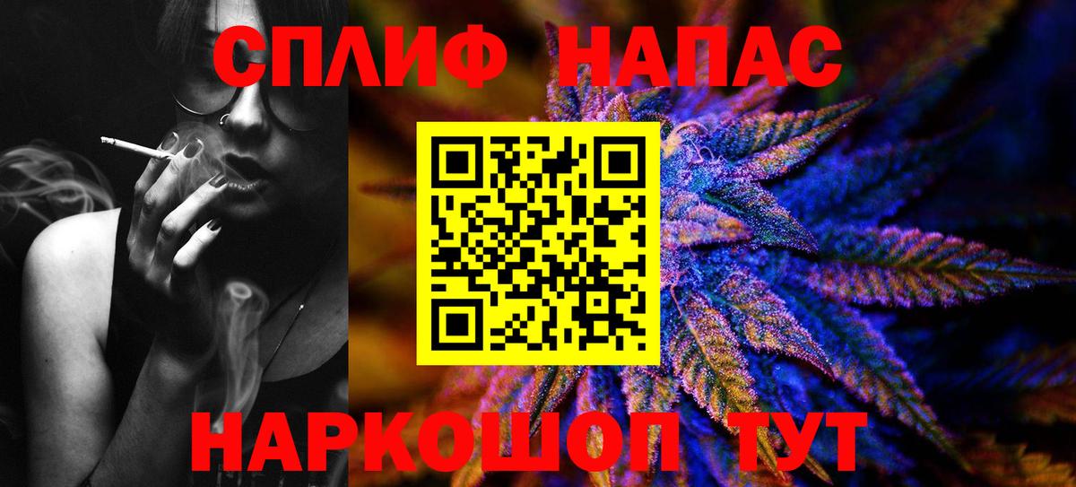 Губаха  Бошки марихуана сатива  Марихуана марихуана  Вход с VPN  Марихуана планчик 